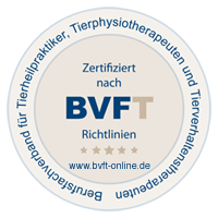 IFT BVFT